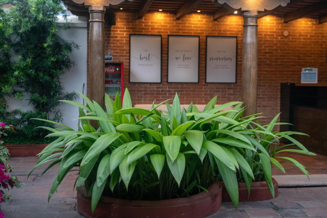 Barbara'S Boutique Hostel Antigua Екстер'єр фото