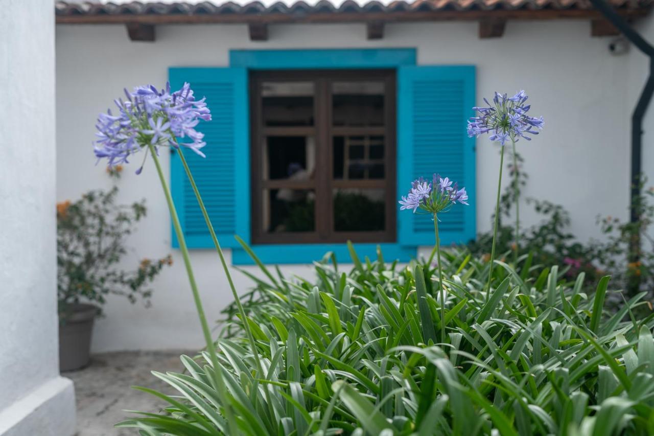 Barbara'S Boutique Hostel Antigua Екстер'єр фото